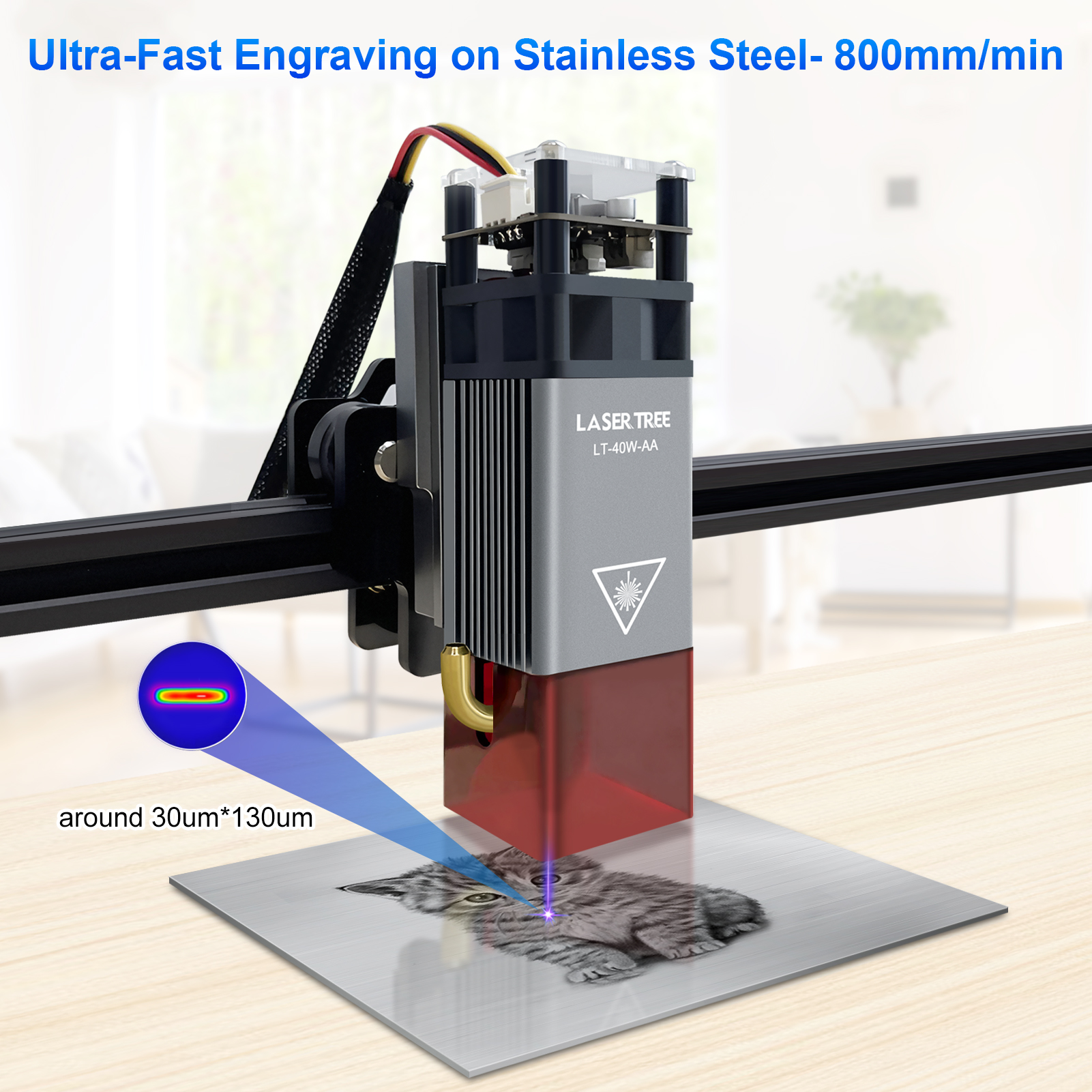 LASER TREE 5W Air Assist Metal - đánh giá và giá Industrial Laser Pointer 24V