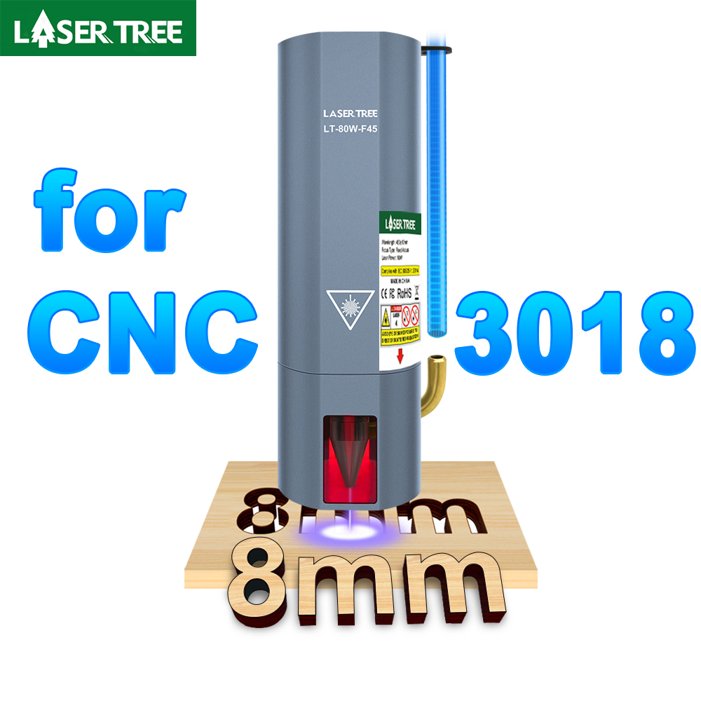 LASER TREE 80W-F45 Professiona - đánh giá và giá Industrial Laser Pointer 24V